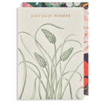 Birthday wishes