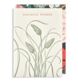 Birthday wishes