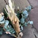 Dried floral arrangement