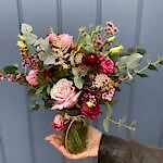 Rhubarb & Custard Flowers