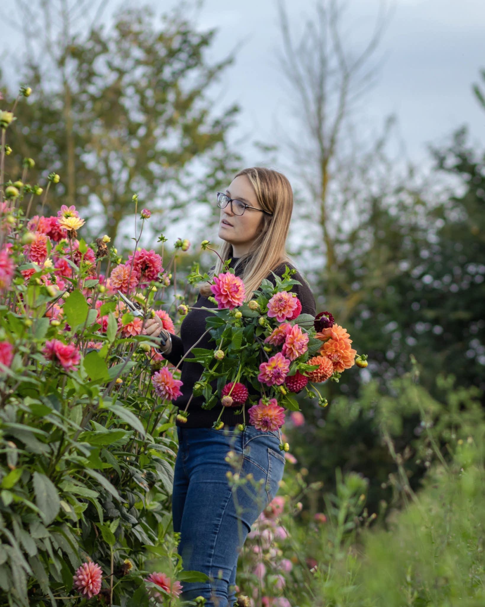 Ella on the flower farm Florist picking dahlias from a flower farm