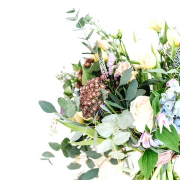 Delicate Pastels Florals