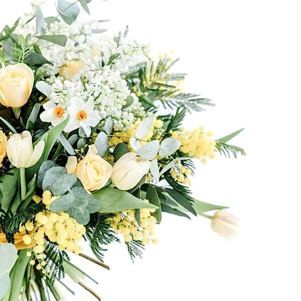 Vibrant Tones - Florals - Flowers of Bath