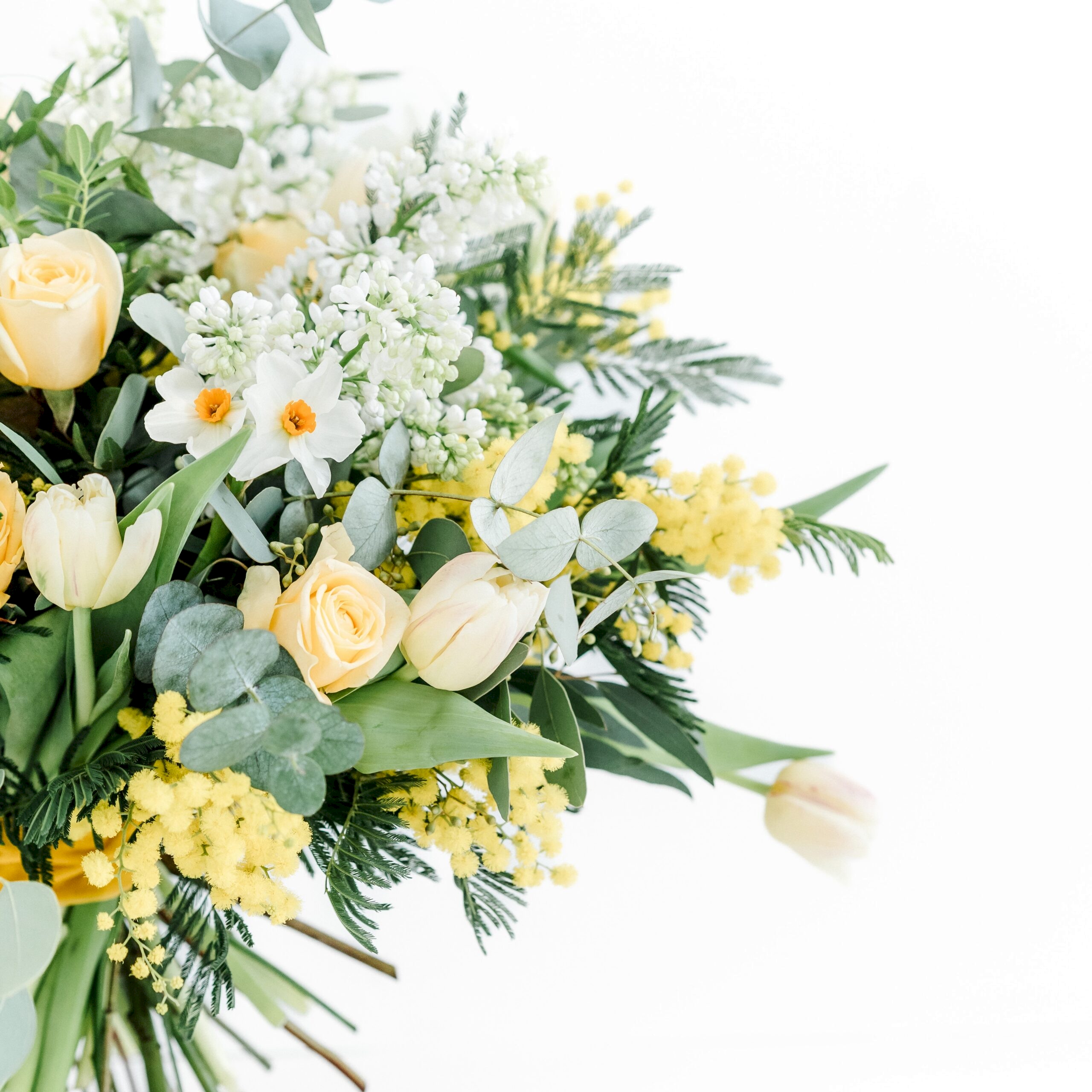 Vibrant Tones - Florals - Flowers of Bath
