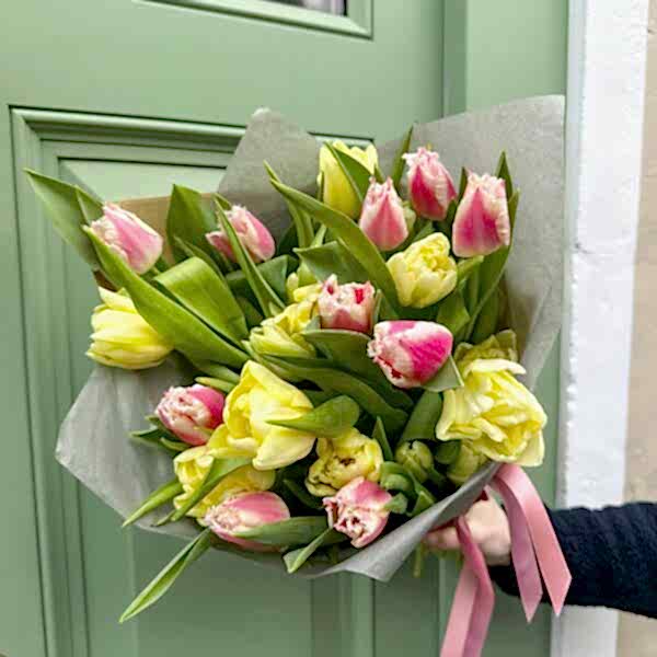 Valentines tulips in Bath