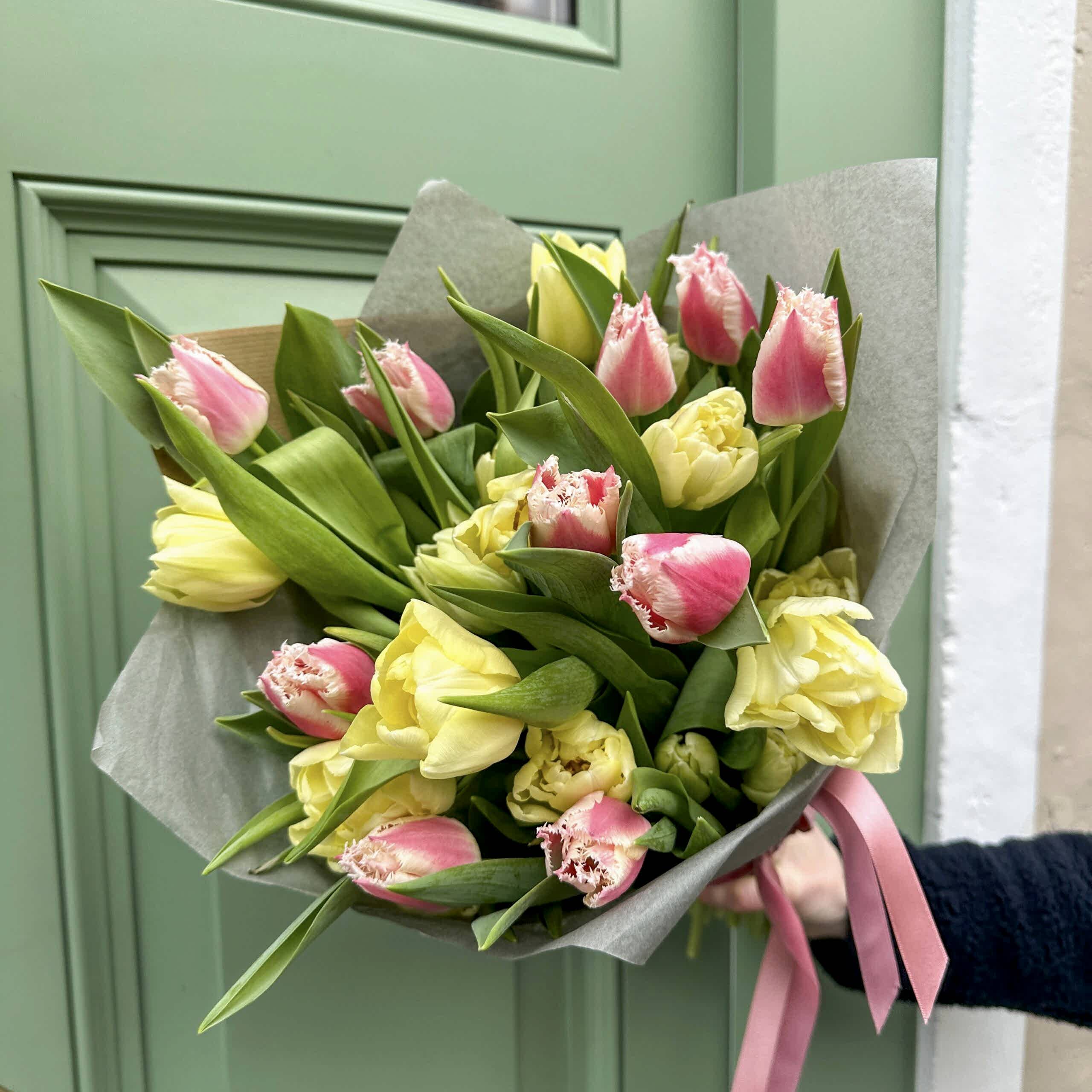 Valentines tulips in Bath